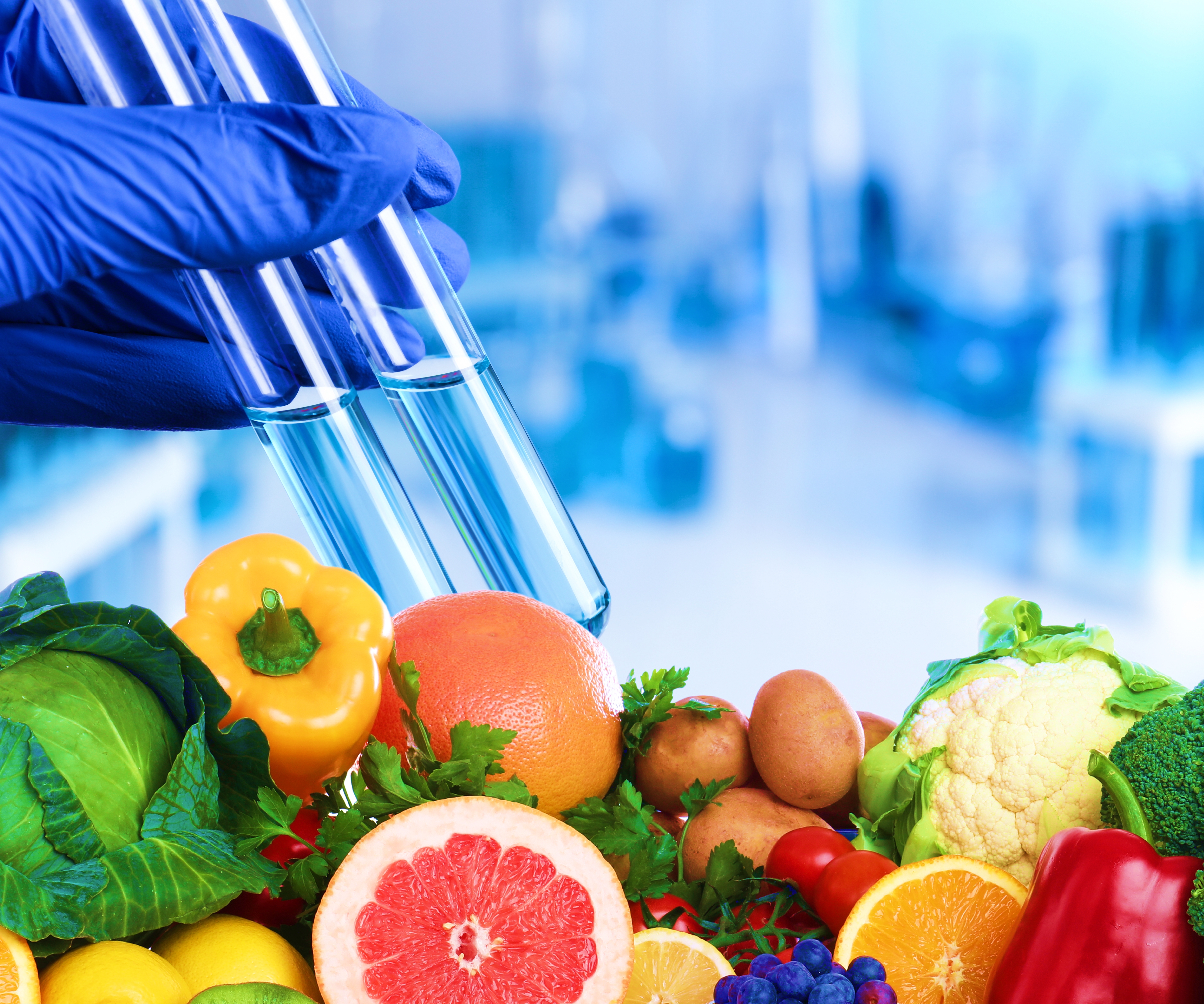 Food Compatibility Test